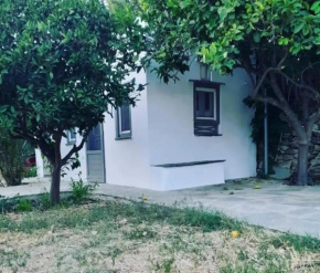 DiAgio Apartments Tinos